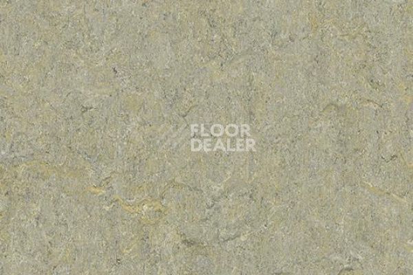 Линолеум Marmoleum Marbled Terra 5801-580135 river bank фото 1 | FLOORDEALER